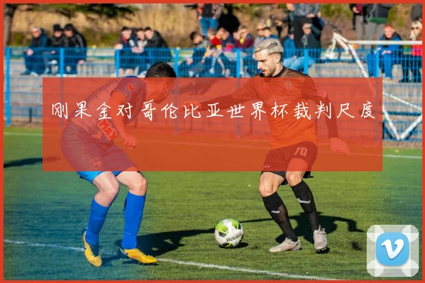 刚果金对哥伦比亚世界杯裁判尺度