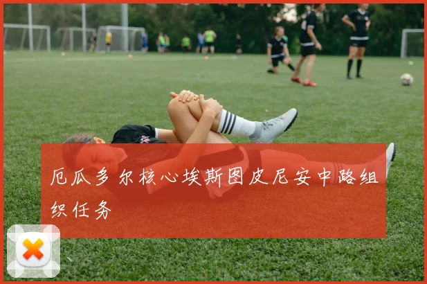 厄瓜多尔核心埃斯图皮尼安中路组织任务