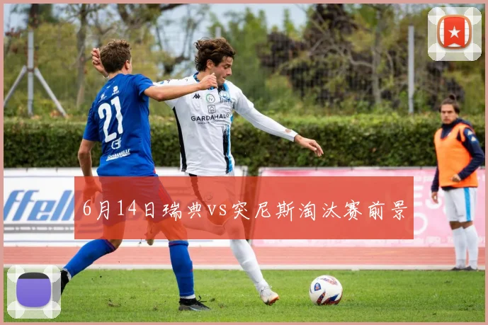 6月14日瑞典vs突尼斯淘汰赛前景