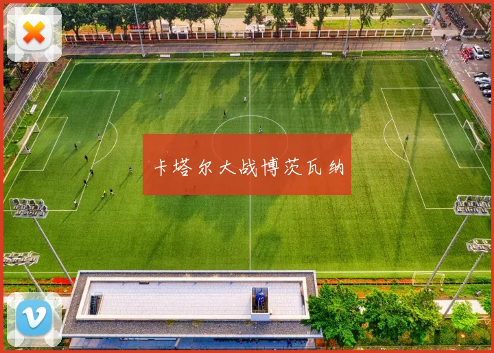 卡塔尔大战博茨瓦纳