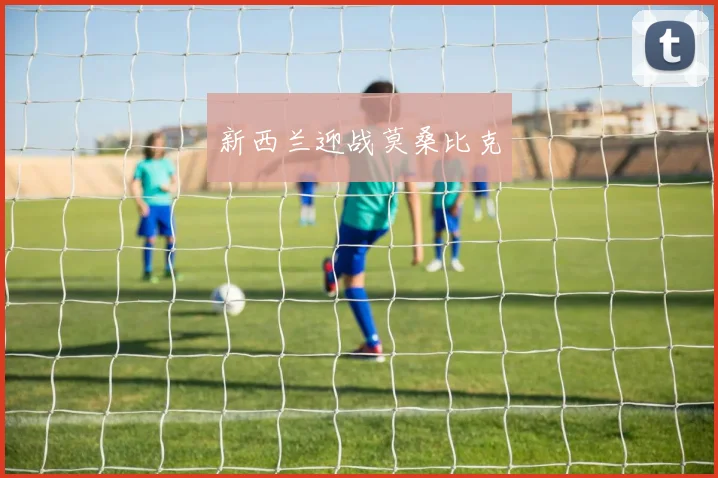 新西兰迎战莫桑比克