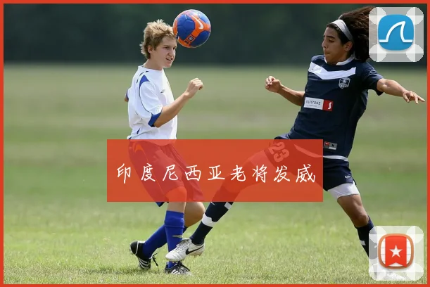 印度尼西亚老将发威